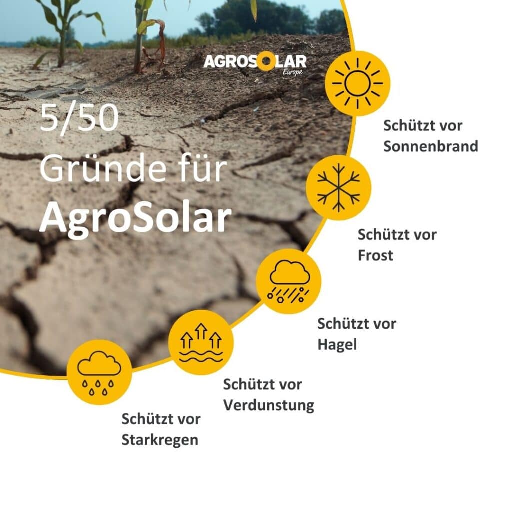 50 gründe für Agri-PV mit AgroSolar zum Thema Wetter