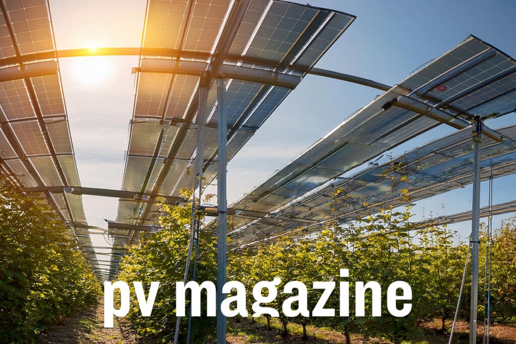 Mykovoltaik Artikel zu AgroSolar Europe im PV Magazine