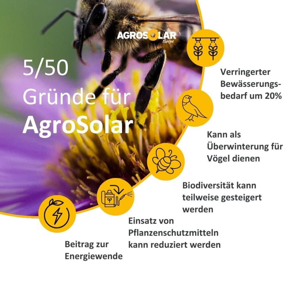 50 Gründe für Agri-PV mit AgroSolar zum Thema Umwelt