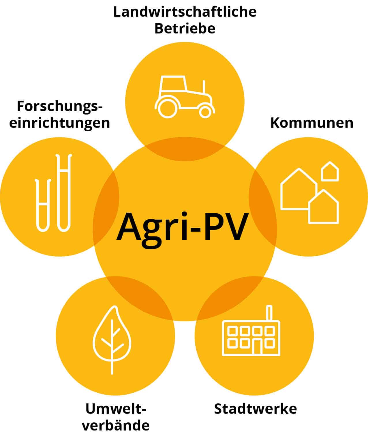 Agri-PV System mit allen Akteuren